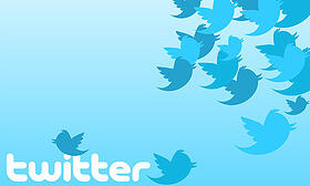 Twitter-Birds
