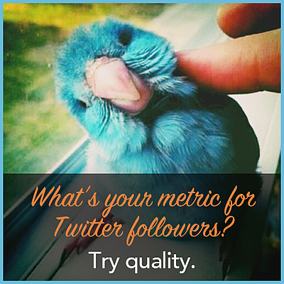 twitter-quality-measurement