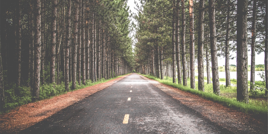 Straight road in the middle of a forest.