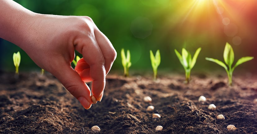 Elements of a Successful Lead Nurturing Campaign