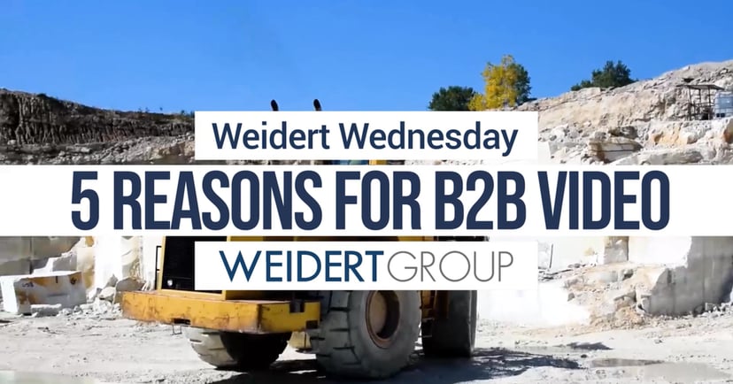 WW-reasons-for-b2b-video-alex