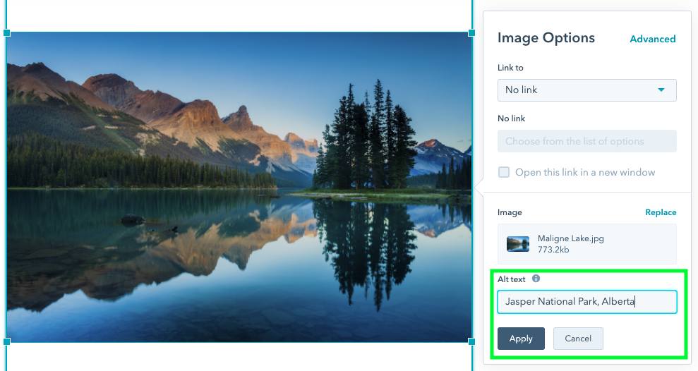 adding image alt text in HubSpot CMS