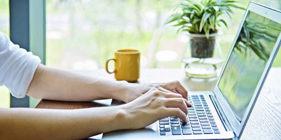 A person typing on a laptop. Next to the laptop is a coffee mug and a succulent plant. There is a full height window in the background.