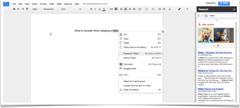 GoogleDoc_kitten.png