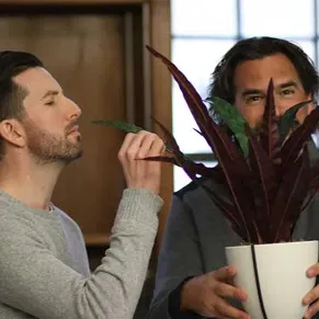 justin_and_brent_with_plant